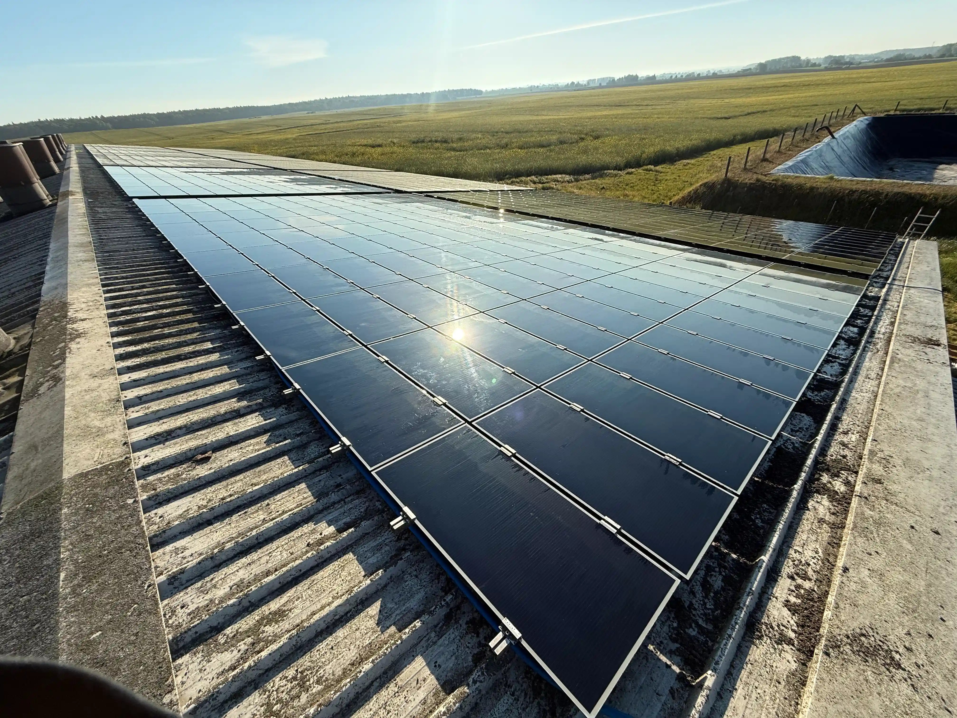 PV-Module nach der professionellen Reinigung — sauber und leistungsfähig