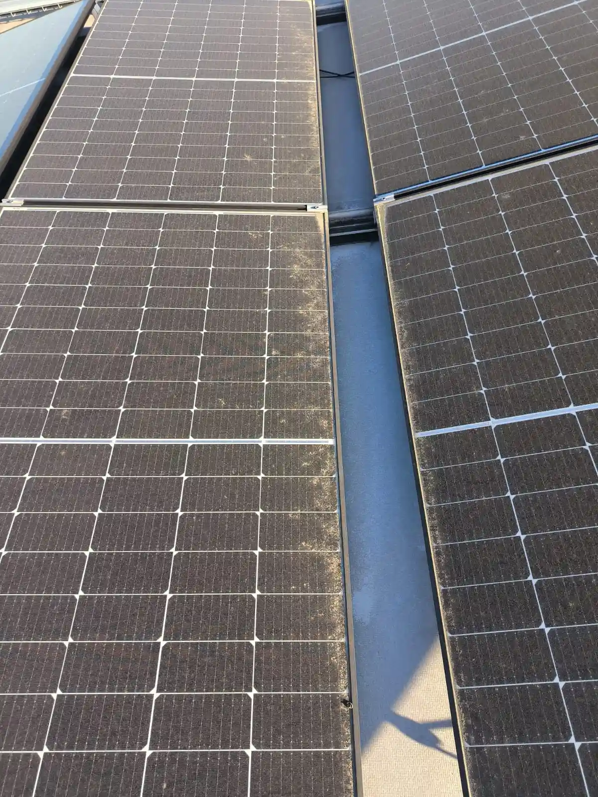 Professionelle PV-Reinigung zum Schutz Ihrer Anlage